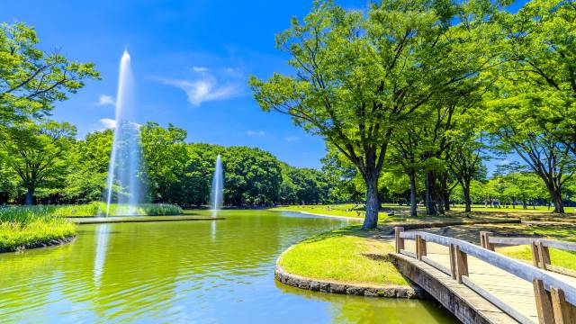 渋谷区：街並み