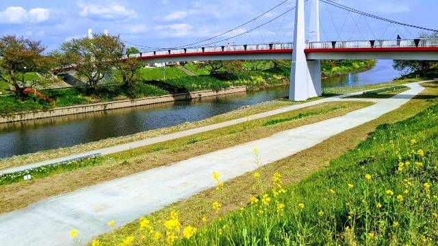 志木市：いろは親水公園