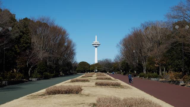 所沢市：街並み